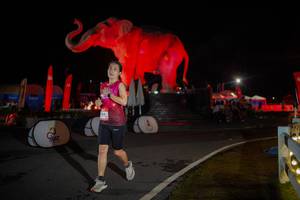 BIB: 
                            <button type="button" onclick="openModal(26551946)" class="btn btn-primary btn-sm float-right btn-popup" data-toggle="modal" data-target=".modal-high-quality">
                        <i class="fas fa-shopping-cart"></i> Add to Cart
                    </button>
                                            <button type="button" onclick="isThisMe(26551946, true)" class="btn btn-success btn-sm float-right btn-popup btn-isme hidden" data-toggle="tooltip" data-placement="bottom" title="นี่คือรูปของคุณใช่ไหม คลิกที่นี่เพื่อเอาเข้าอัลบั้ม">
                        <i class="fas fa-plus"></i> Add to album
                    </button>
                    <button type="button" onclick="isThisMe(26551946, false)" class="btn btn-warning btn-sm float-right btn-popup btn-isnotme hidden">
                        <i class="fas fa-ban"></i> Remove from album
                    </button>